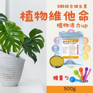 【送量勺】開根 維生素B群 農用 500g 原物料 輔助土壤中根系