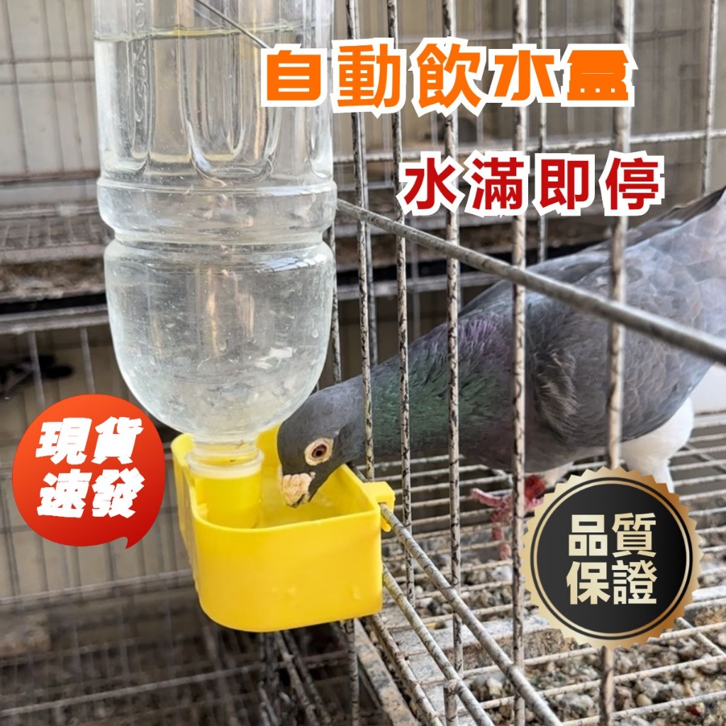 tw精選工廠好物🌸飲水盒 自動餵水盒 鳥飲水器盒 養殖籠掛盒飲料瓶自動飲水器 餵水器 養殖水槽 C