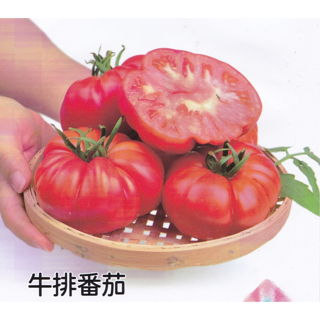 【蔬菜種子S476】牛排番茄~果實扁圓呈瓣棱型，個頭大，果實大紅鮮艷，肉質細膩甜美可口，營養價值高。