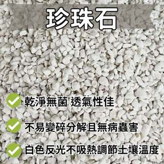 【醬米資材】珍珠石 天然排水通氣介質/ 珍珠石分裝包