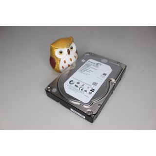 Segate ST4000VN0001 Enterprise Nas HDD 4TB 7.2K 6G 3.5 SATA