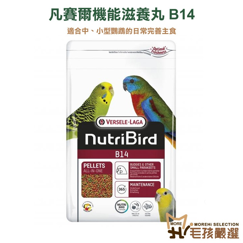 凡賽爾 機能滋養丸B14 中小型鸚鵡主食飼料 原裝包800G 中小型鳥飼料 虎皮牡丹吸蜜和尚愛情鳥小太陽玄鳳 毛孩嚴選