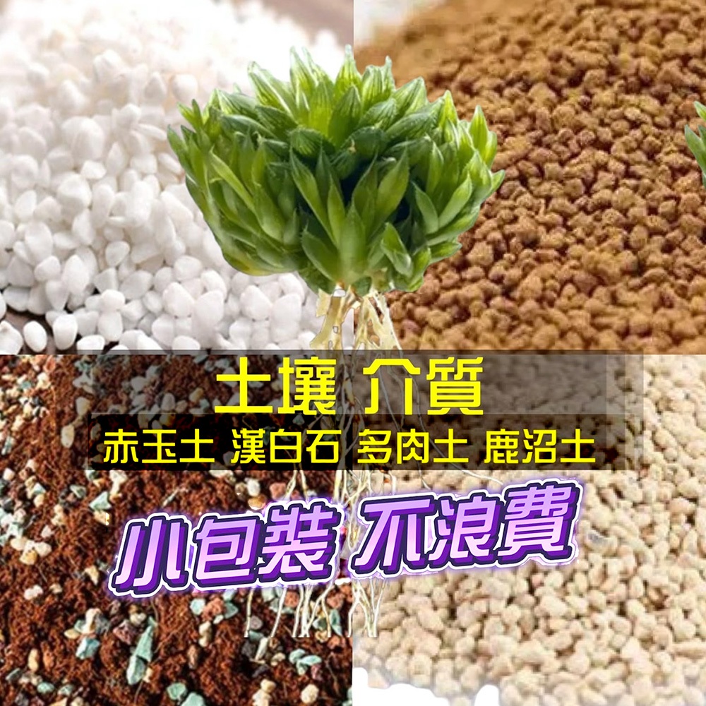 100g小包裝【草葉日和】赤玉土 漢白石 鹿沼土 多肉土 造景黏土 造景 水族造景 生態造景缸 園藝介質 介質