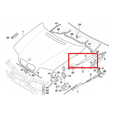 寶馬 BMW E46 3系列 雙門=4門  引擎蓋頂桿 引擎室 前艙蓋 發動機罩 撐桿 油壓桿 51238202688