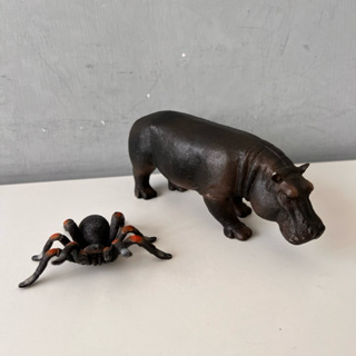 二手 mojo fun 動物模型 紅膝蜘蛛 大河馬