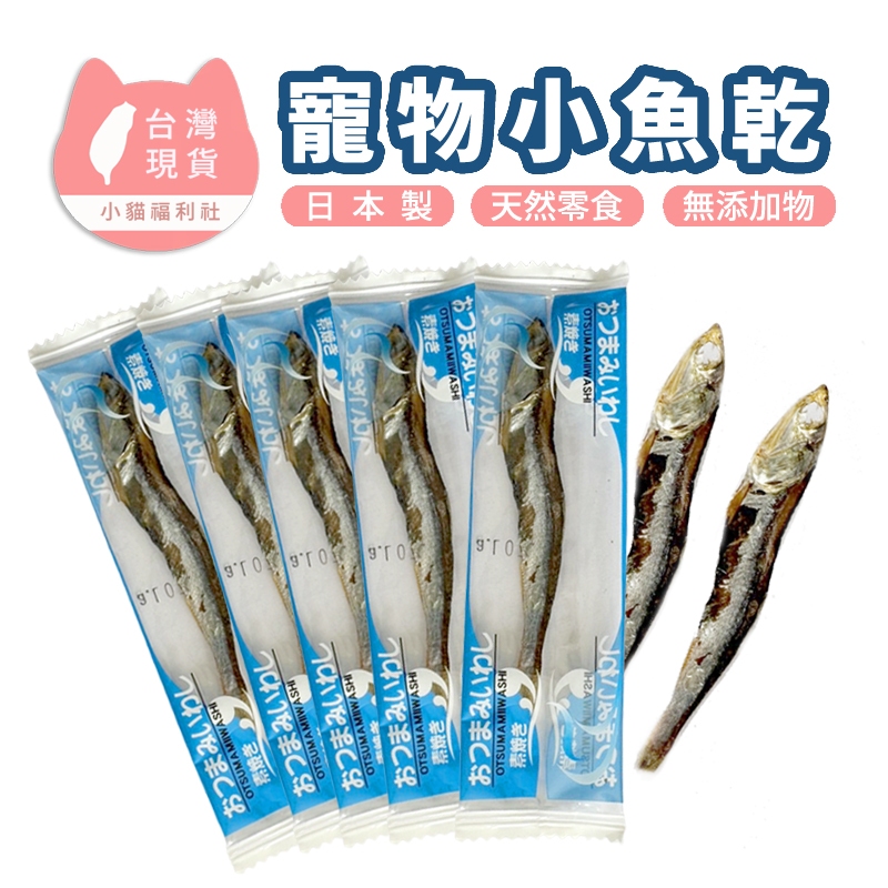 《小貓福利社》日本長崎沙丁魚小魚乾 沙丁魚乾 貓零食 寵物零食 魚乾 日本小魚乾 蜜袋鼯 黃金鼠 倉鼠 刺蝟 可食