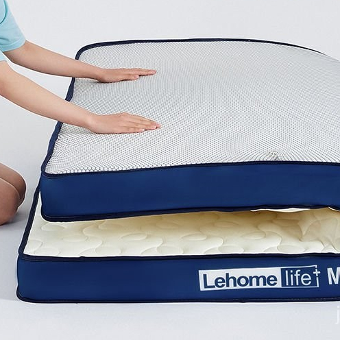 高品質 廠傢直銷 LEHOME乳膠記憶海綿A類抗菌床墊軟墊加厚榻榻米墊子單人學生宿捨床墊