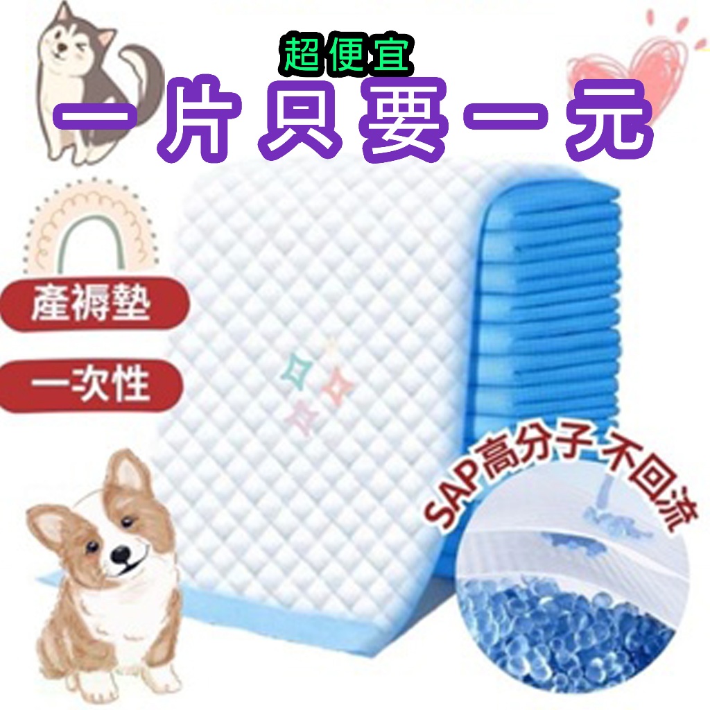 【隔日到貨】🔥滿100折42🔥【單片特賣】寵物尿布墊 狗尿墊 寵物尿布墊 看護墊 尿布墊 寵物尿布 尿布 護理片 產婦墊