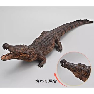 恐龍動物模型 大鱷魚 恐鱷 史前巨鱷 嘴可動