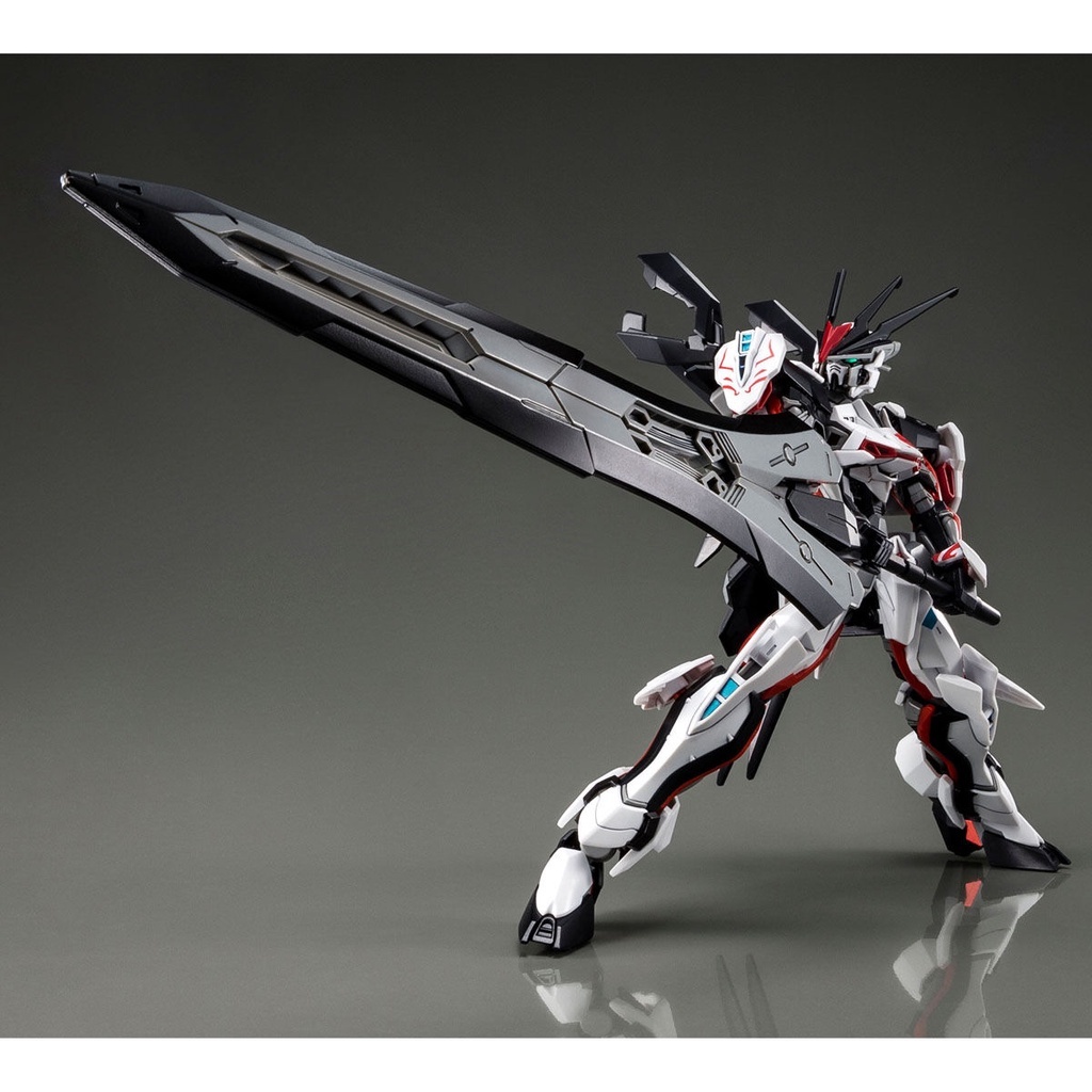 現貨 完成品 萬代 BANDAI PB魂商限定 HG 1/144 王道異端 LOAD ASTRAY Ω