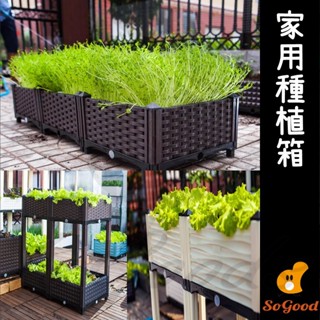 陽臺種菜 栽培箱 種菜神器 陽臺種菜 種菜盆 菜盆 蔬菜箱 種植箱 種菜箱 (好熱銷🔥)_☆優購好SoGood☆