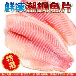 鮮凍潮鯛魚片(每片170-190g)【海陸管家】鯛魚 火鍋 魚片 鮮魚