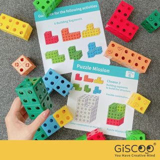 Giscoo STEAM 益智教具組 ─ 麥斯大方塊 | 商檢合格 現貨 積木玩具 益智玩具