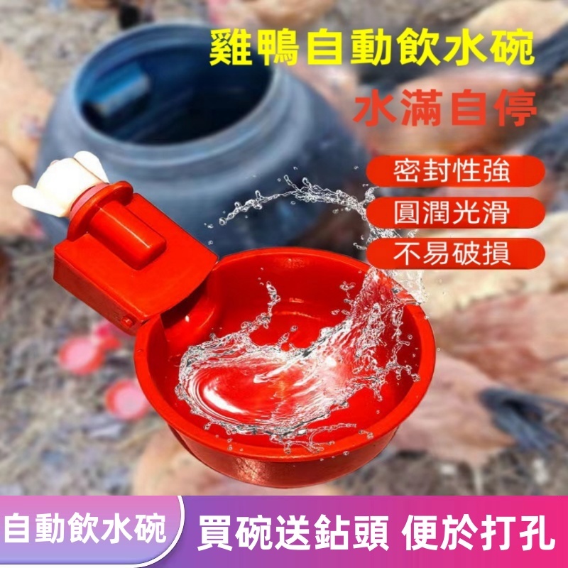 新款雞鴨鵝鴿子飲水碗喝水碗雞用自動飲水器雛雞鳥用飲水器鵪鶉飲水器