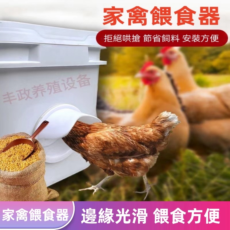 新款雞鴨自動餵食器 自動飲水器 餵雞水槽喝水打不翻餵雞食槽防撒自動餵食神器