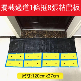 快速出貨🌞強力粘鼠毯 抓老鼠 黑底黏鼠毯 黏鼠毯 黏鼠板 黏鼠板粘 家用捕鼠神器 滅鼠魔毯 補鼠神器 捕鼠器 粘鼠板超強