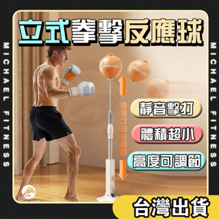 【麥克健身】立式拳擊反應球 拳擊訓練 家用發洩 健身訓練 拳擊 速度球 充氣 散打搏擊 立式拳擊球 不倒翁 發洩球 沙包
