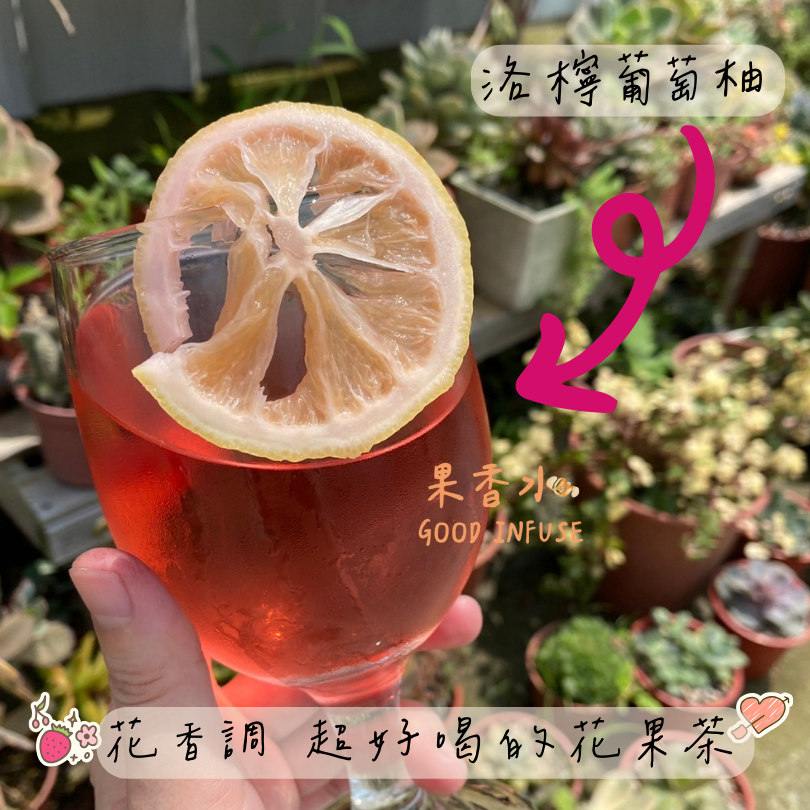 果香水GoodInfuse 花香調｜養顏補水代謝 無糖零添加果乾水 洛神花玫瑰花 花果茶 柳橙乾檸檬乾 草莓乾 自製果乾