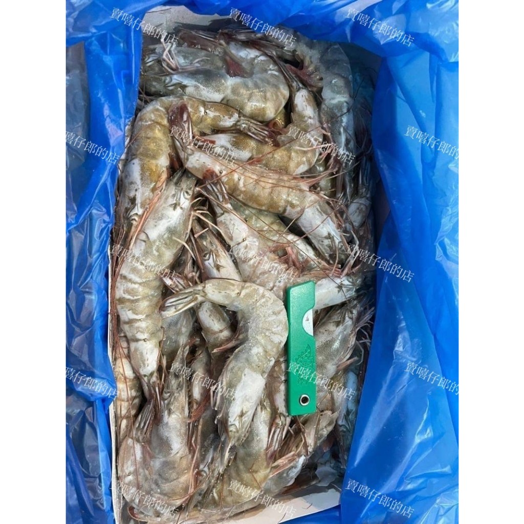 APOLLO 冷凍生白蝦🦐 40/50 1kg