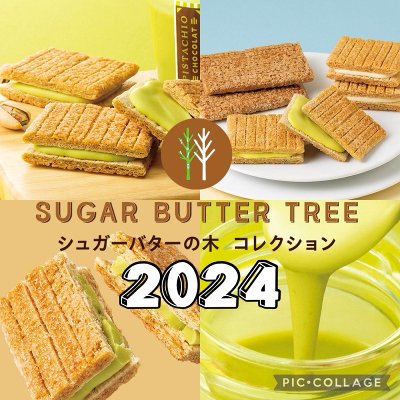 ☘️ 開心果預購 ☘️ 日本 砂糖奶油樹 奶油餅 焦糖口味 焦糖 蘋果巧克力 限定 杏仁巧克力 砂糖樹 餅乾 蘋果