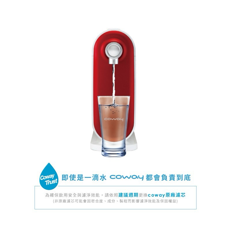 Coway 奈米高效淨水器P250N 全新