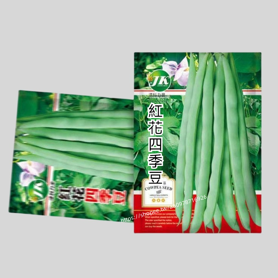 🔥紅花四季豆🔥A87 豆角種子 紅花四季豆種子 一袋10g約28粒 蔬菜種子 原廠包裝 對版出貨 發芽率高95%