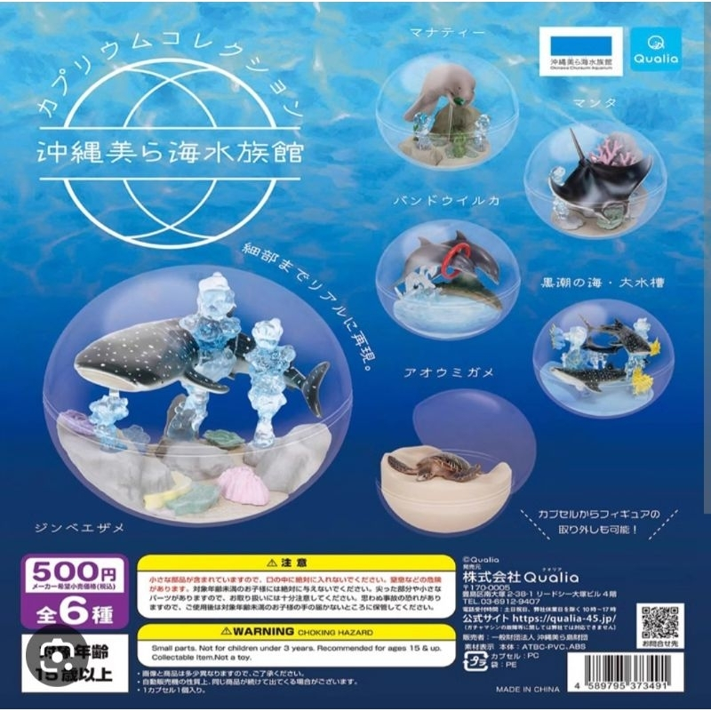 現貨 扭蛋 沖繩 美麗海 水族館 海牛