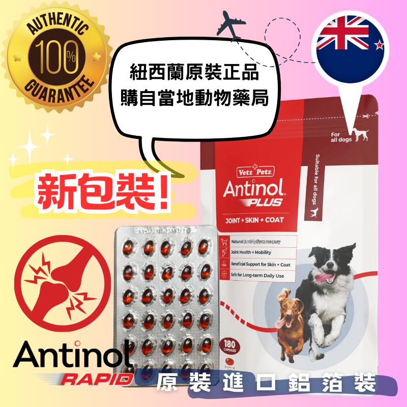 【現貨×每日出貨】Antinol Plus紐西蘭原裝正品30顆/60顆/120顆鋁箔單顆裝關節保養與台灣安適得酷版同成份