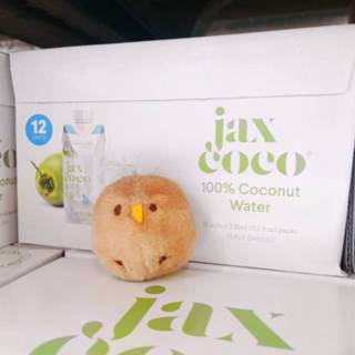 COSTCO 菲律賓 Jax Coco 椰子水 椰子汁 椰子 330毫升 Coconut Water 100% 低卡