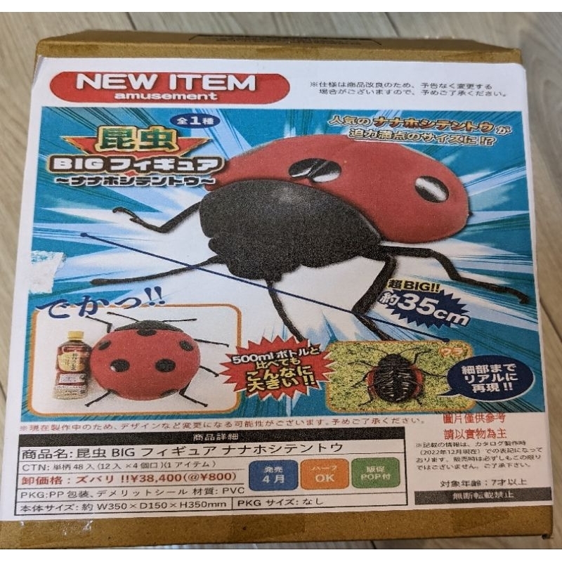 日本正版 35公分 超大尺寸 仿真 昆蟲模型 瓢蟲 鍬形蟲 巨大 景品 公仔