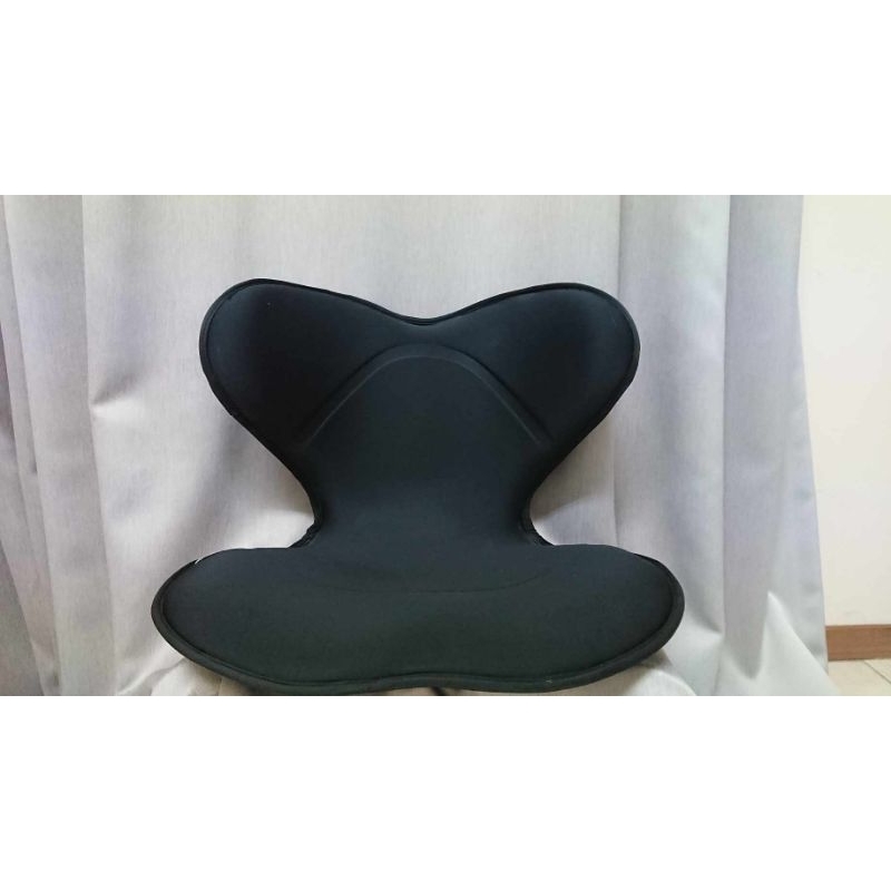 Style SMART健康護脊椅墊/美姿調整椅