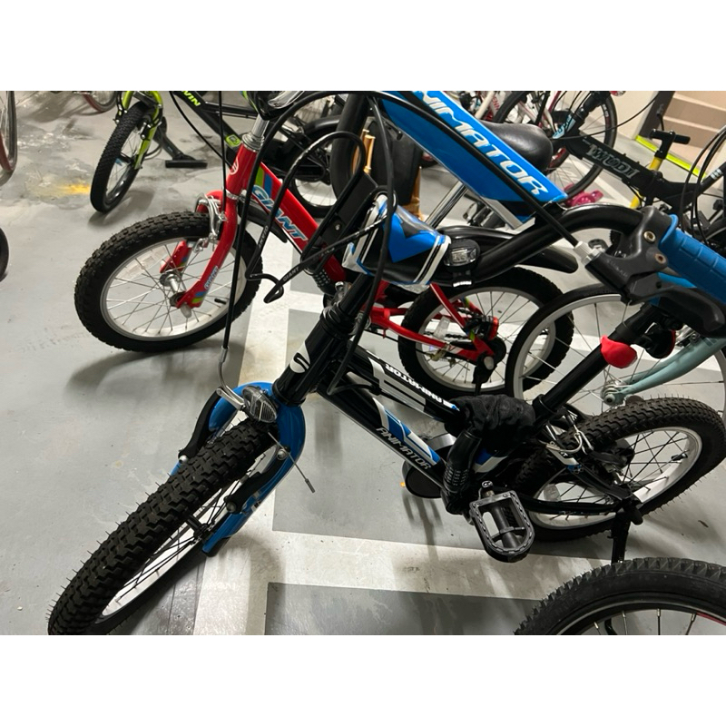 捷安特 16寸 童車 腳踏車（已售待取）