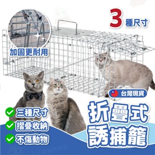 折疊式誘捕籠 誘捕籠 捕貓籠 貓 TNR救援 動物救援 結紮 貓咪誘捕籠 捕貓神器 折疊籠 捕狗籠 貓誘捕籠 大型誘捕籠