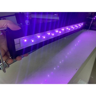 出清 ISTA 全色系 水草燈 增豔燈 藍燈/藍白燈雙開關 1尺 1.5尺 LED燈 植物燈 伊士達 增豔 藍燈