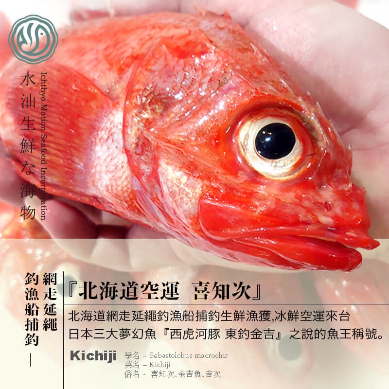 【水汕海物】北海道空運 深海延繩 日本料理最頂級小型魚 喜知次 喜之次 金吉魚，鮮凍非一夜干。『三去實重、品質保證』
