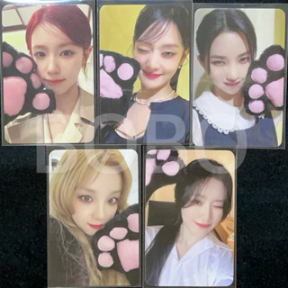 （G)I-DLE SR2.0官方特典中文卡背 貓爪薇娟米妮minnie小娟雨琦舒華小卡 正規二輯”2”