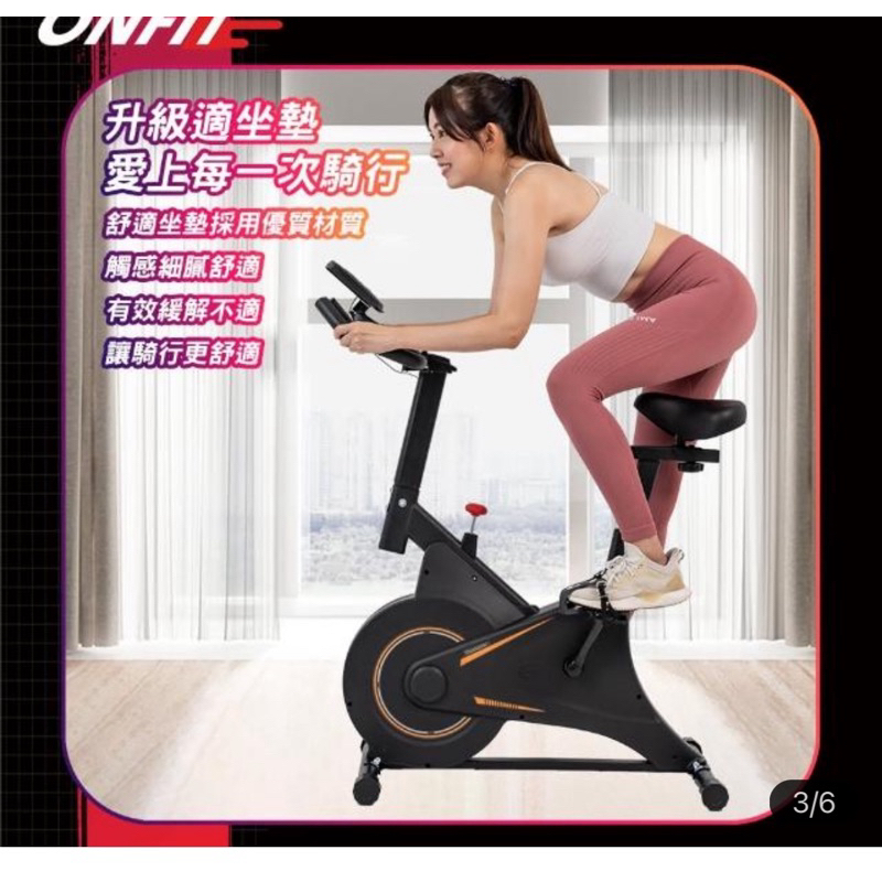 羊毛氈飛輪健身車 室內動感單車(JS008N)