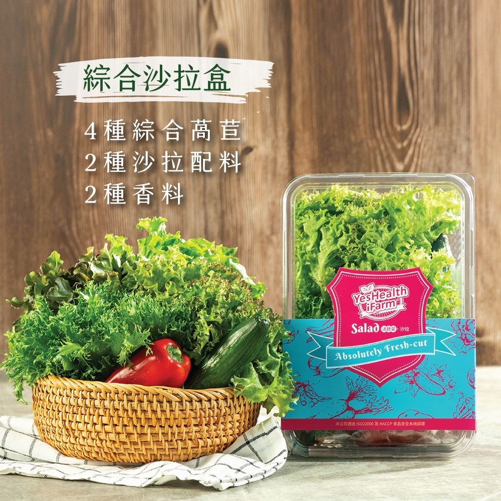 【源鮮智慧農場】輕食生菜盒(生菜、沙拉、萵苣、水耕蔬菜)