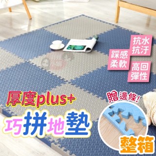 【整箱 SGS檢驗合格】巧拼地墊 加厚地墊 拼接地墊 地墊 環保EVA加厚地墊 地墊 爬行墊 防撞地墊