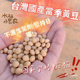 黃豆 台灣國產 當季！限量上架中，台灣非基改黃豆，無毒安心