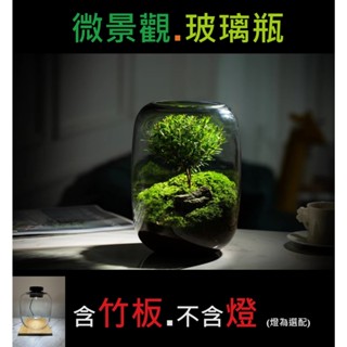 【Master 水族】桌面 微景觀玻璃瓶 生態瓶 苔蘚瓶 花瓶盆景 植物造景 大肚玻璃瓶 加厚加寬 多肉