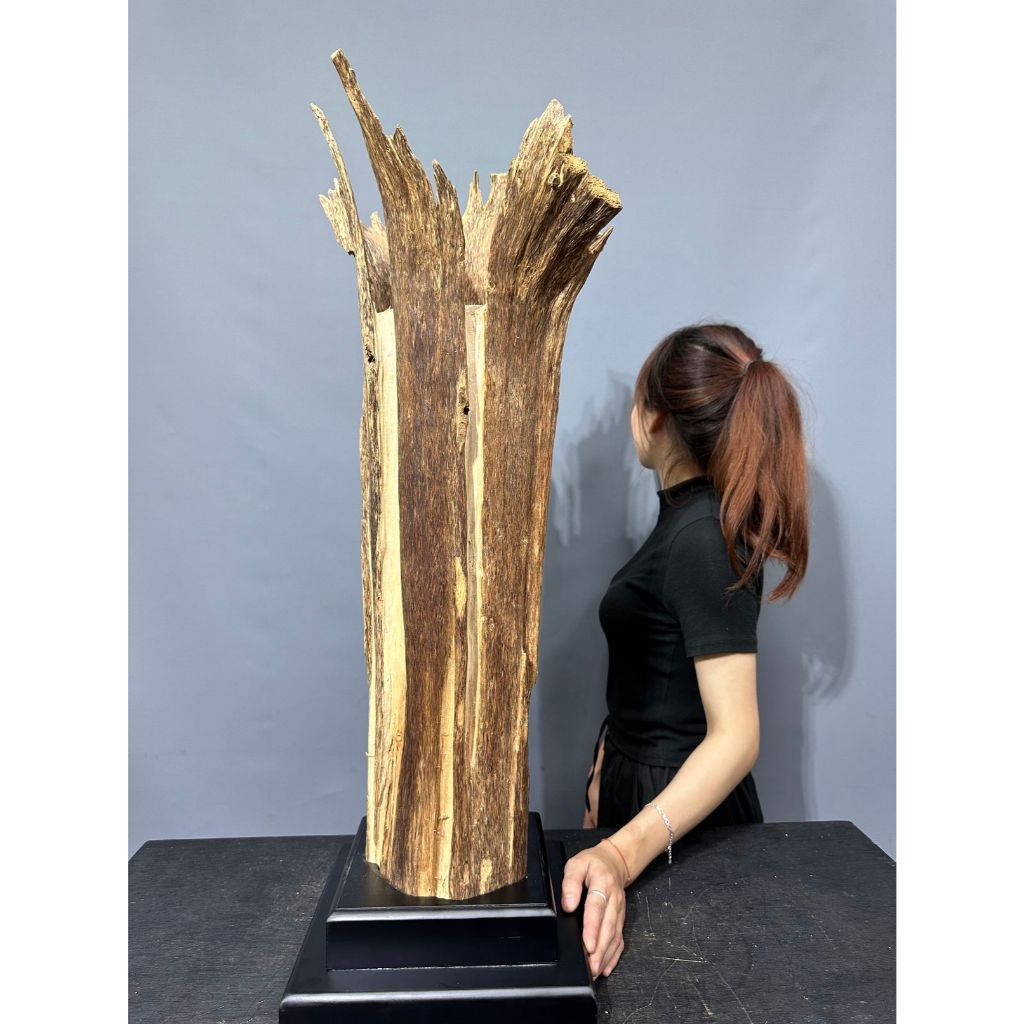 阿一藝品 頂級越南沉香木【沉香原木】實心樹幹【罕見收藏】油脂豐富 氣韻清香 極品沉韻清辛 供佛禮佛 F23
