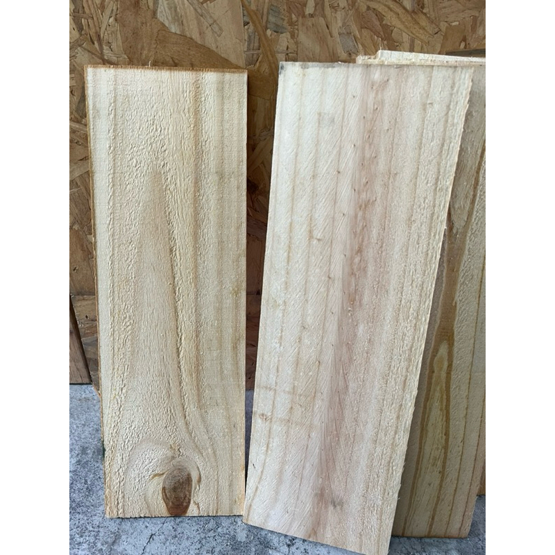 DIY木板 鹿角蕨專用板材、素材