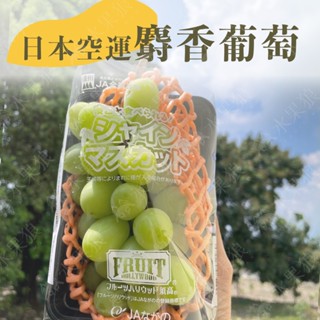 (免運) 🇯🇵日本空運室內麝香葡萄 350g /禮盒 附紙袋 水果禮盒｜水果狼FRUITMAN