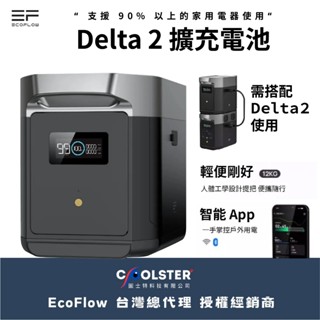Delta 2 擴充電池【ECOFLOW】 EFDT2EB Delta II 備用電池 儲電 行動電源 電池 愛露愛玩