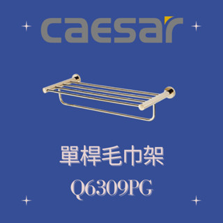 凱撒 CAESAR 香檳金 單桿毛巾架 Q6309PG 毛巾架 浴室毛巾架
