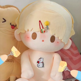預購✨夏目友人帳 夏目貴志 40cm 娃娃 棉花娃娃 棉花娃 裸娃 娃 周邊同人 一番賞 抱枕 貓咪老師 無屬性 網紅娃
