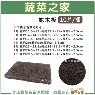 【蔬菜之家滿額免運】蛇木板10片/捆-4吋、5吋、6吋、7吋、8吋、9吋、1尺(天然筆筒樹切塊製成.保水性通氣性極佳)