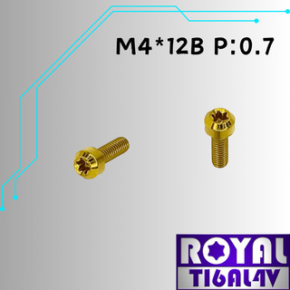 瘋螺絲】ROYAL 鈦合金螺絲★ M4*12B P:0.7 錐形螺絲★64鈦/正鈦/鈦合金螺絲★出貨附發票★土豪金