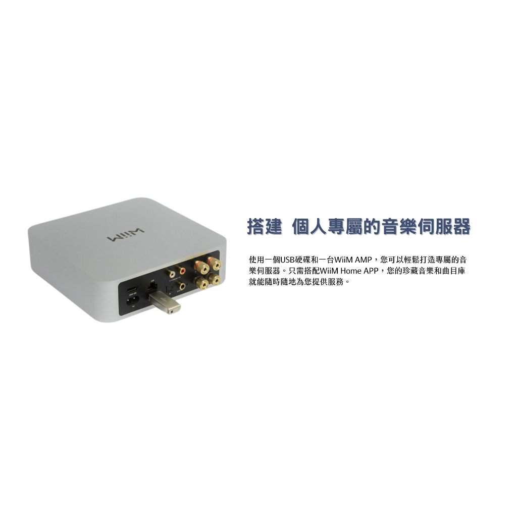 Wiim AMP 串流綜合擴大機 兩聲道擴大機 支援HDMI ARC 光纖